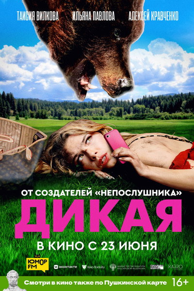 Póster de Wild