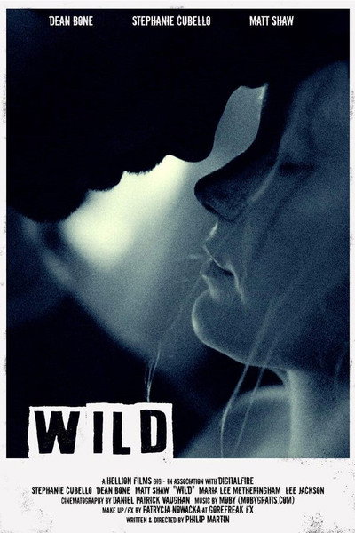 Póster de Wild