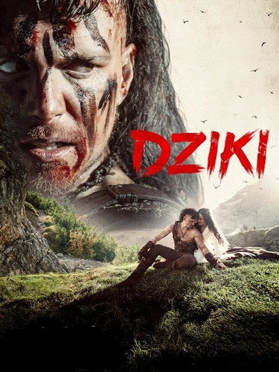 Póster de Wild