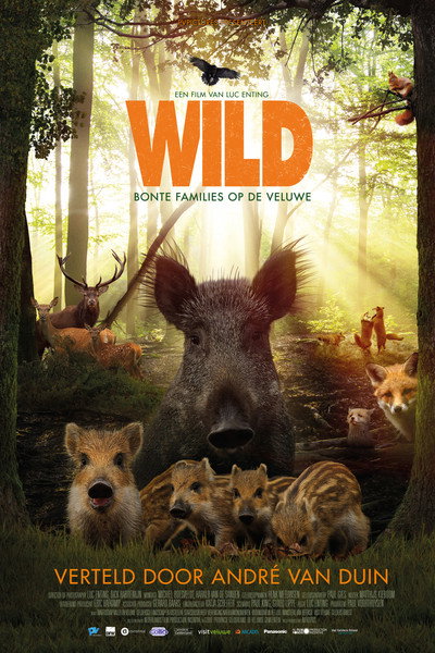 Póster de Wild