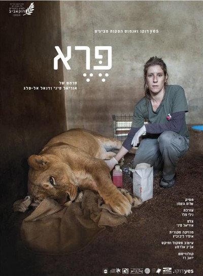 Póster de Wild