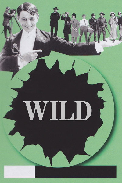 Póster de Wild