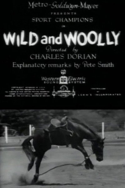 Póster de Wild and Woolly