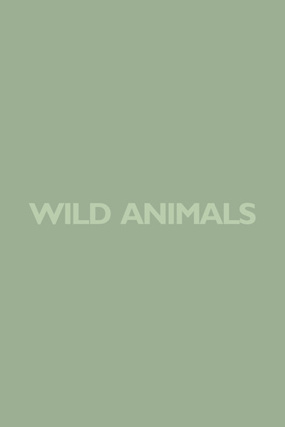Póster de Wild Animals