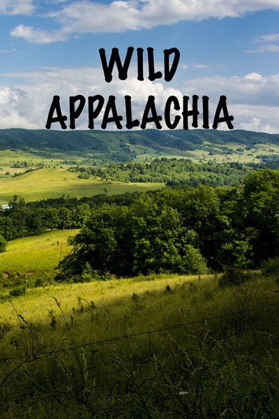Póster de Wild Appalachia