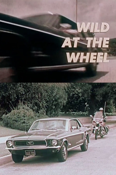 Póster de Wild at the Wheel