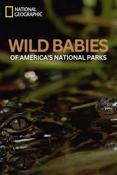 Póster de Wild Babies of America's National Parks