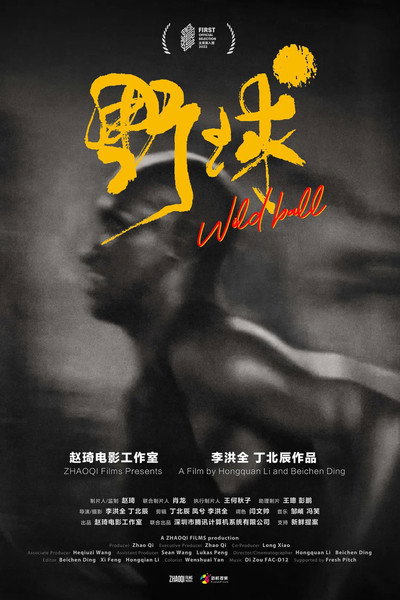 Póster de Wild Ball