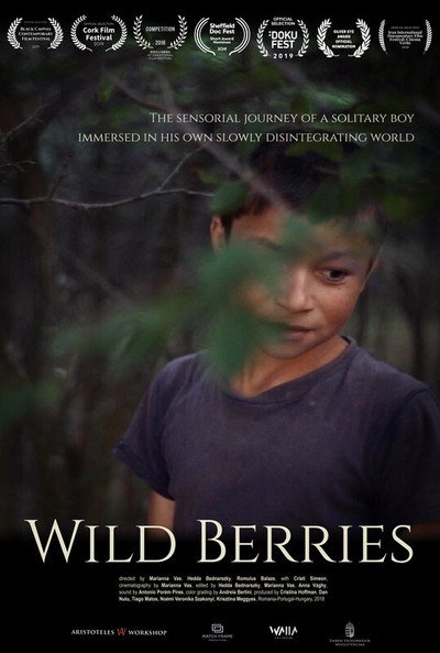 Póster de Wild Berries