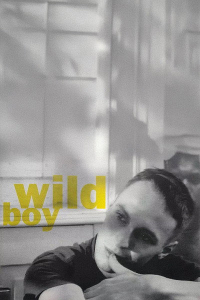 Póster de Wild Boy