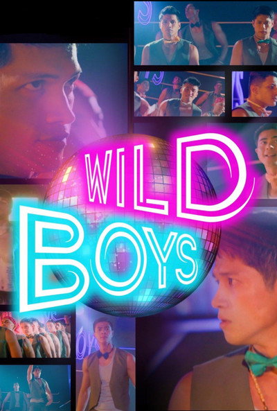 Póster de Wild Boys