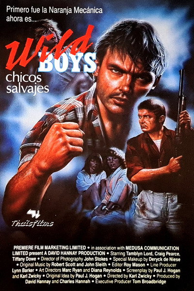 Póster de Wild boys