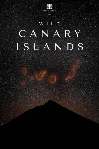 Póster de Wild Canary Islands