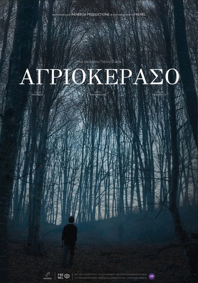 Póster de Wild Cherry