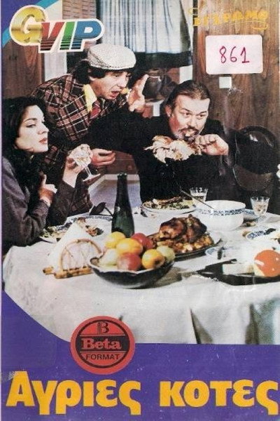 Póster de Wild Chickens