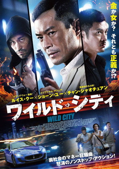 Póster de Wild City