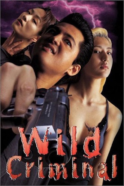 Póster de Wild Criminal