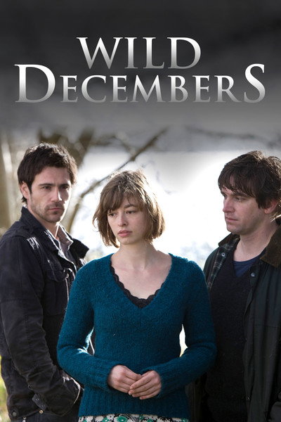 Póster de Wild Decembers