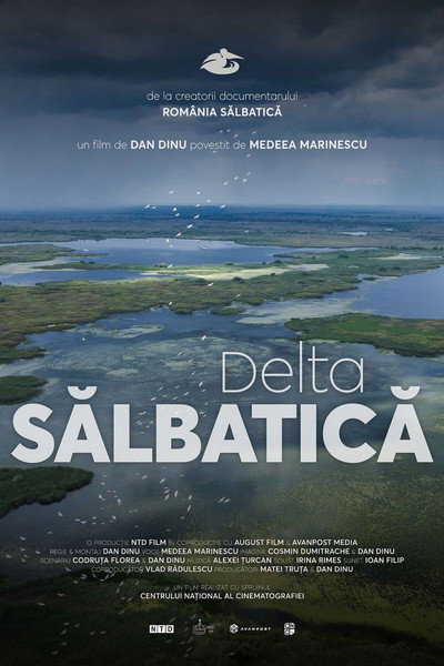 Póster de Wild Delta