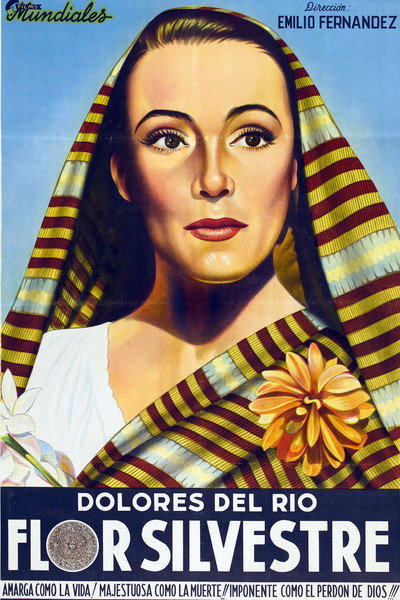 Póster de Wild Flower