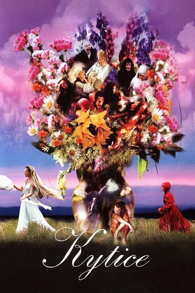 Póster de Wild Flowers