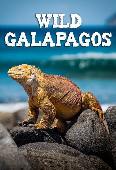 Póster de Wild Galapagos: Pristine Seas
