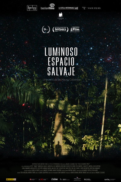 Póster de Wild Gleaming Space (Luminoso espacio salvaje)