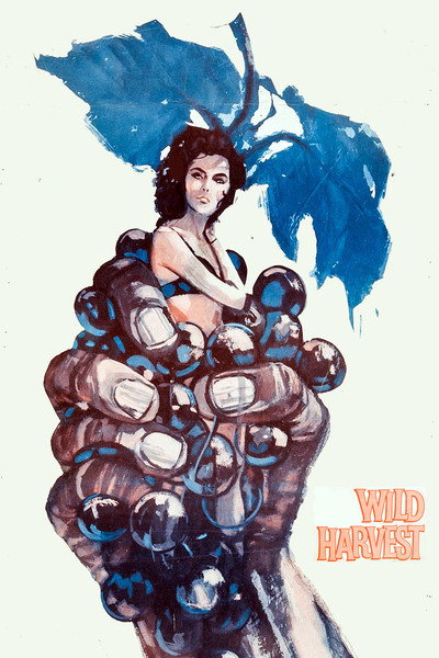Póster de Wild Harvest