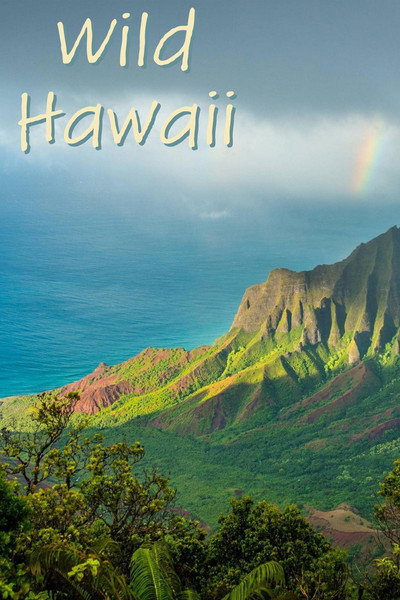 Póster de Wild Hawaii