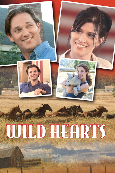 Póster de Wild Hearts