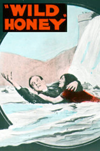 Póster de Wild Honey