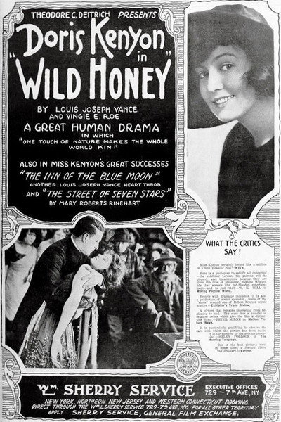 Póster de Wild Honey