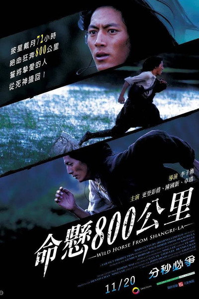 Póster de Wild Horse from Shangri-La