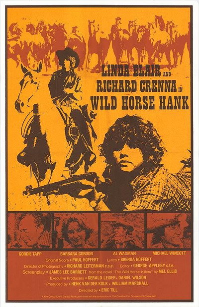 Póster de Wild Horse Hank