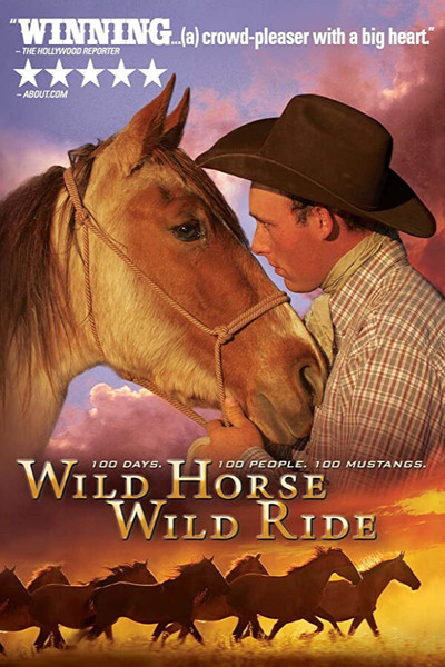Póster de Wild Horse, Wild Ride
