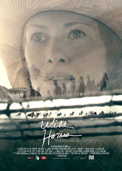 Póster de Wild Horses