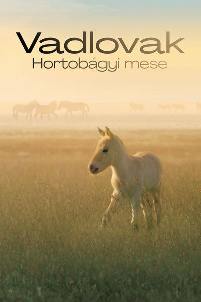 Póster de Wild Horses: A Tale from the Puszta