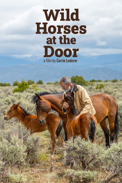 Póster de Wild Horses at the Door