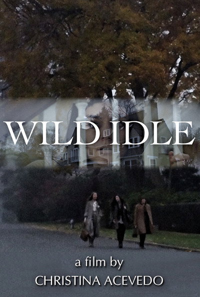 Póster de Wild Idle