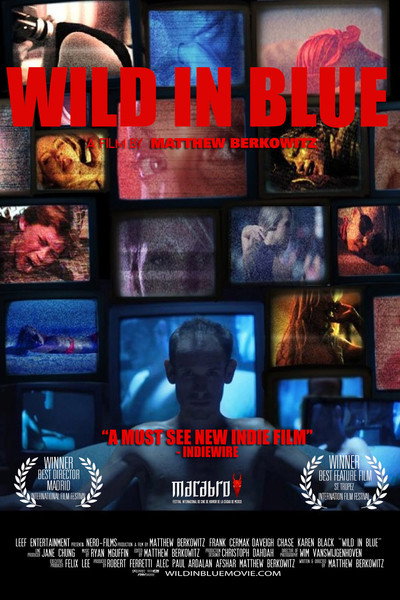 Póster de Wild in Blue