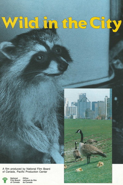 Póster de Wild in the City