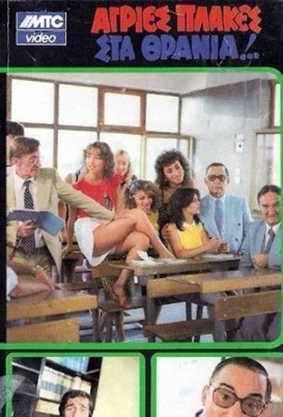 Póster de Wild Jokes in the Classroom