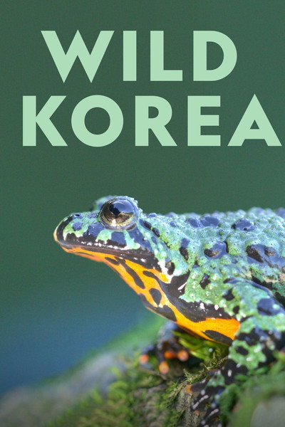 Póster de Wild Korea: Life at the Borderlands