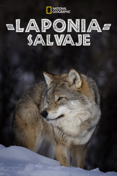 Póster de Wild Lapland