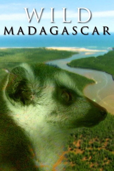 Póster de Wild Madagascar