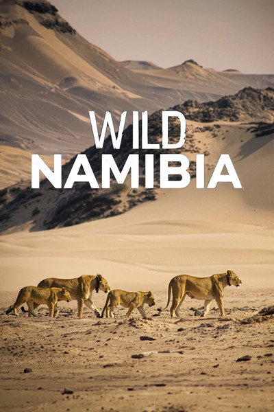 Póster de Wild Namibia