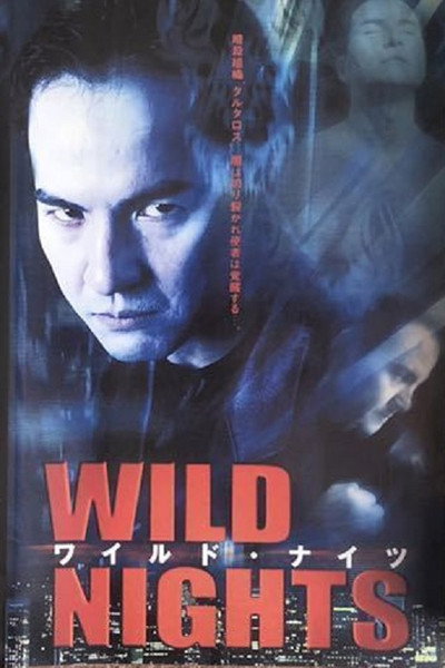 Póster de Wild Nights