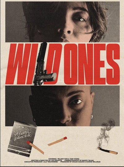 Póster de Wild Ones