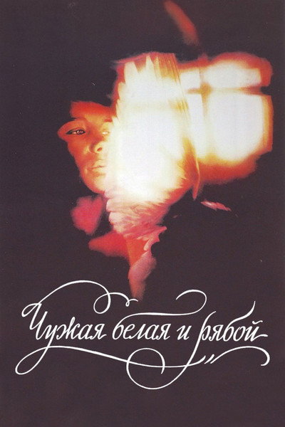 Póster de Wild Pigeon