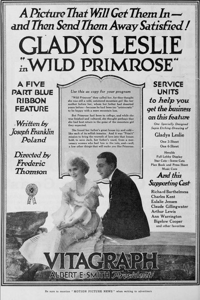 Póster de Wild Primrose